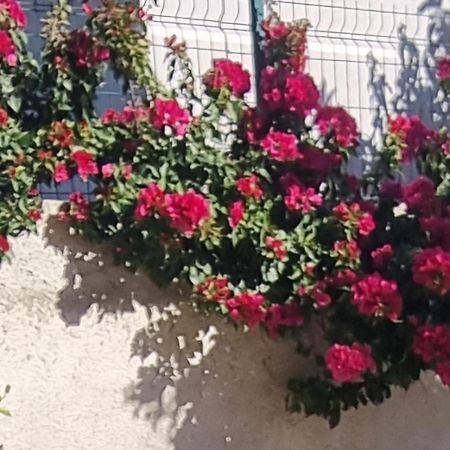 Vlorë Vila Megi-Rent Room מראה חיצוני תמונה
