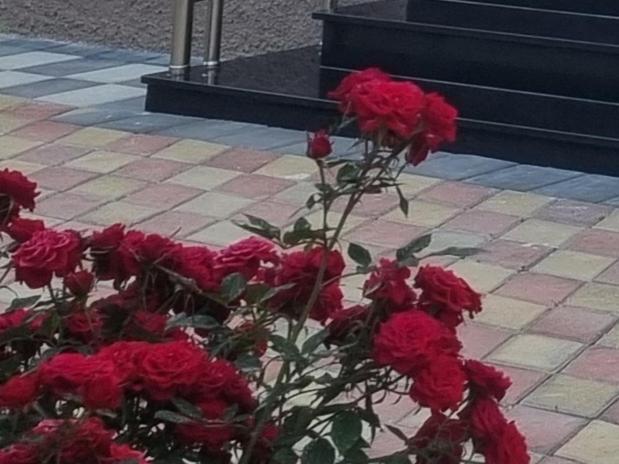 Vlorë Vila Megi-Rent Room מראה חיצוני תמונה