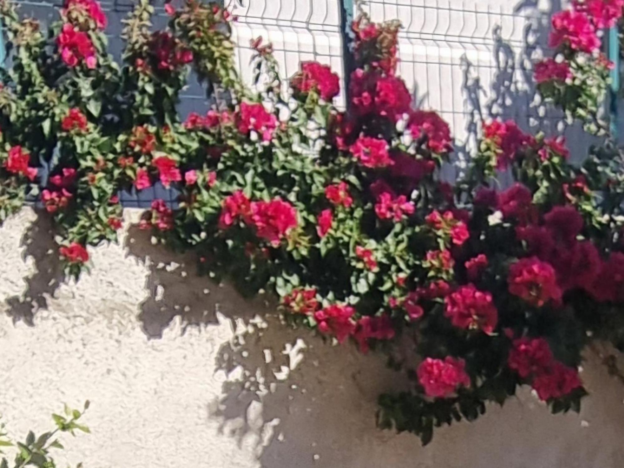 Vlorë Vila Megi-Rent Room מראה חיצוני תמונה