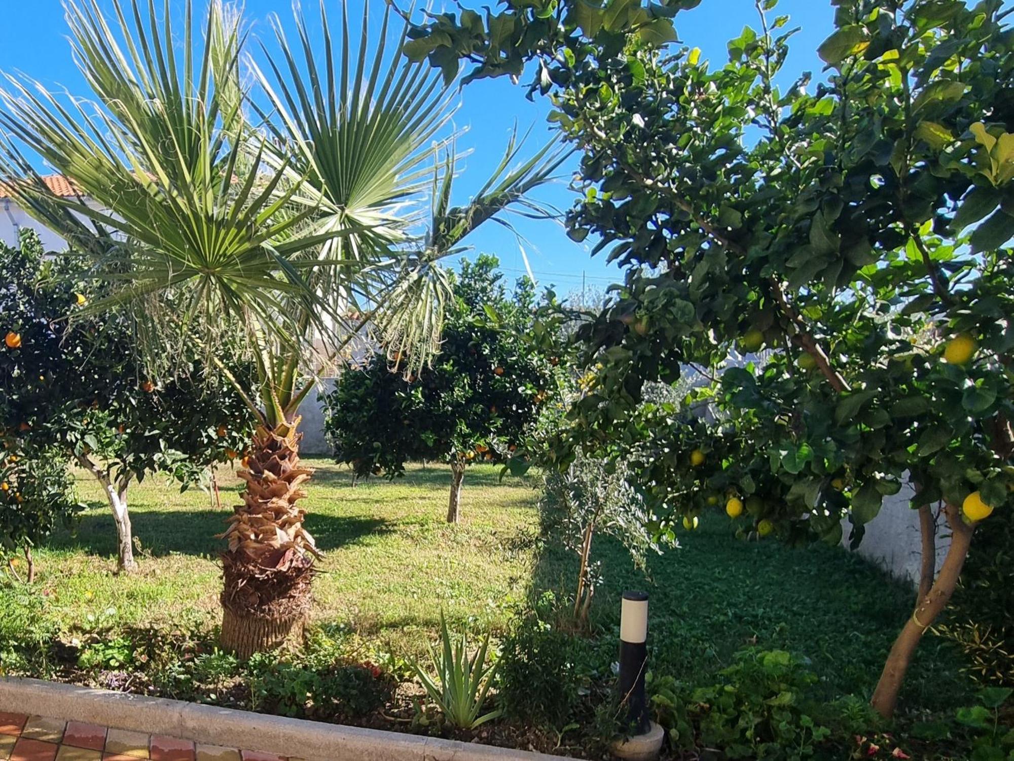 Vlorë Vila Megi-Rent Room מראה חיצוני תמונה